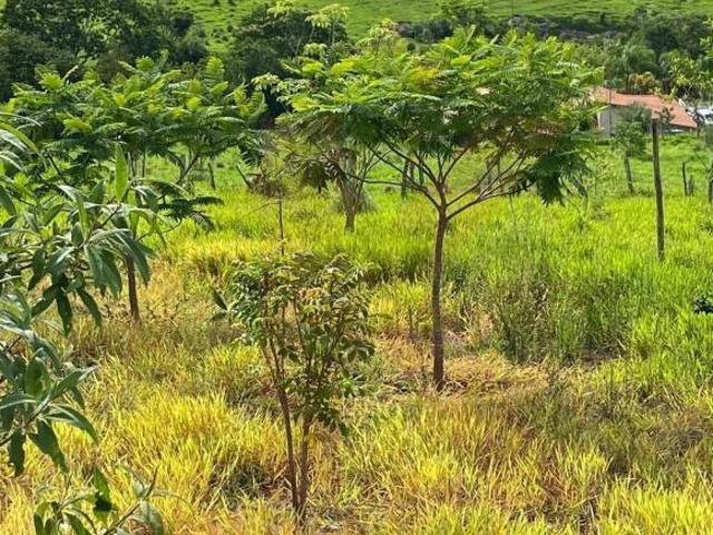 Sítio e chácara venda em Região Imediata de São Paulo, Região Metropolitana de São Paulo