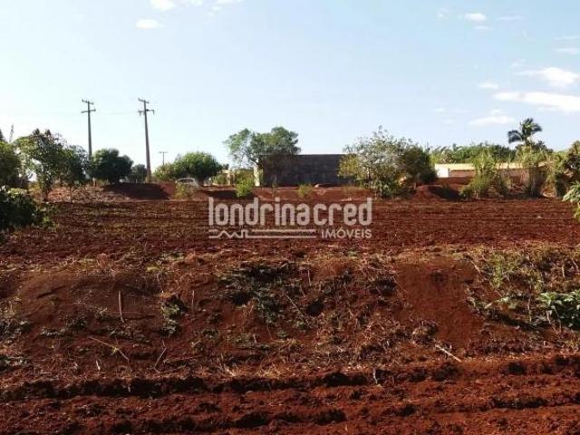 Sítio e chácara venda em Região Geográfica Imediata de Londrina, Cambé