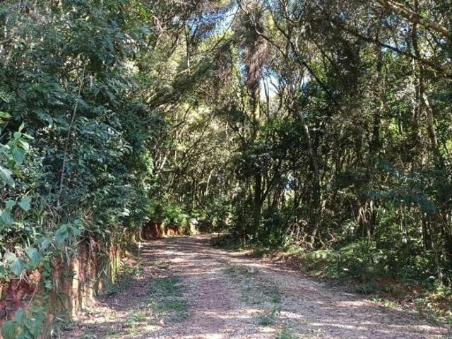 Terreno venda em Região Geográfica Imediata de Curitiba, Região Metropolitana de Curitiba
