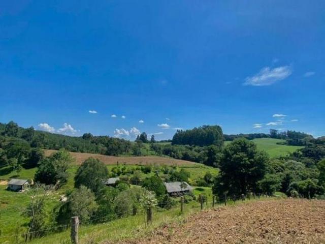 Terreno venda em Região Geográfica Imediata de Curitiba, Região Metropolitana de Curitiba
