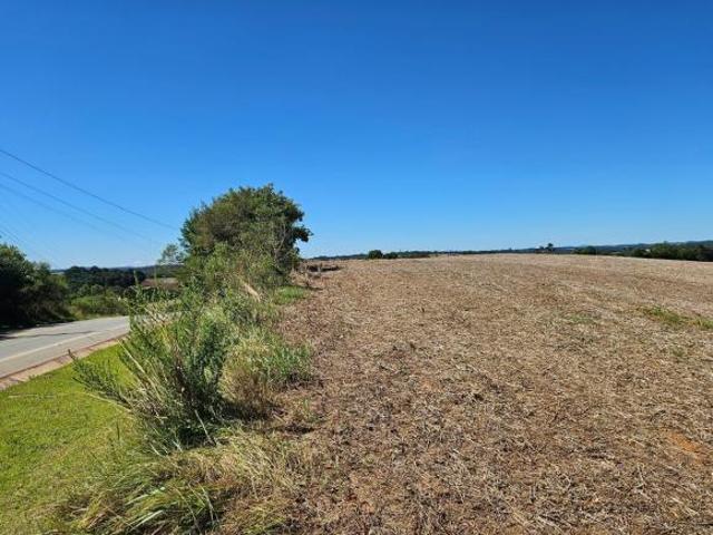 Terreno venda em Araucária, Região Geográfica Intermediária de Curitiba