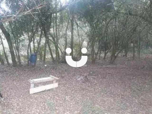 Sítio e chácara venda em São João, Sarapuí