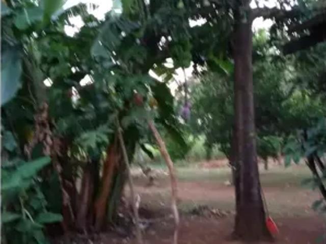 Fazenda venda em Região Geográfica Imediata de Luziânia, Região Integrada de Desenvolvimento do Distrito Federal e Entorno