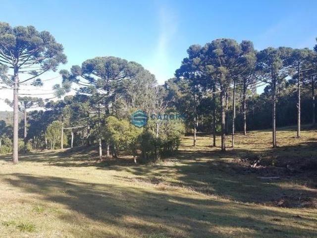Sítio e chácara venda em Região Geográfica Imediata de Caxias do Sul, Caxias do Sul