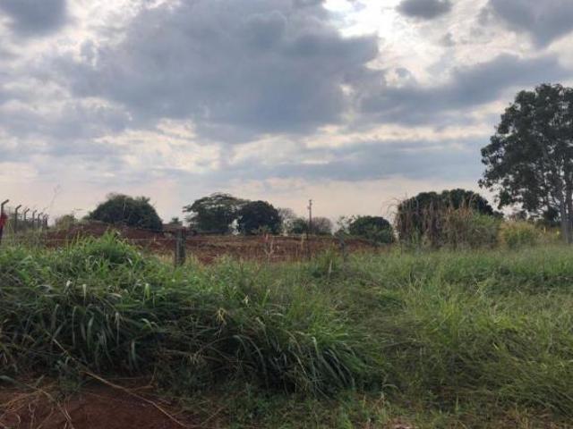 Sítio e chácara venda em Região Geográfica Imediata de Londrina, Londrina