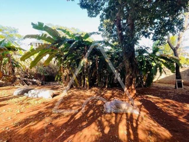 Sítio e chácara venda em Região Imediata de Mogi Guaçu, Região Sudeste