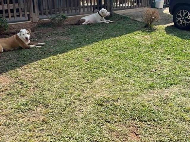 Sítio e chácara venda em Parque São Martinho, Mogi das Cruzes