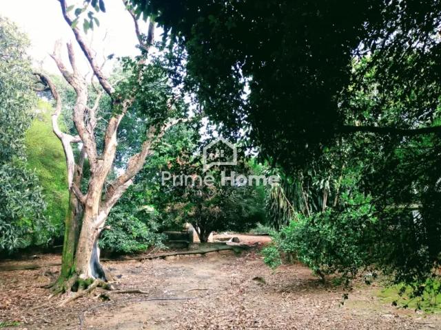 Fazenda venda em Região Imediata de Campinas, Região Metropolitana de Campinas