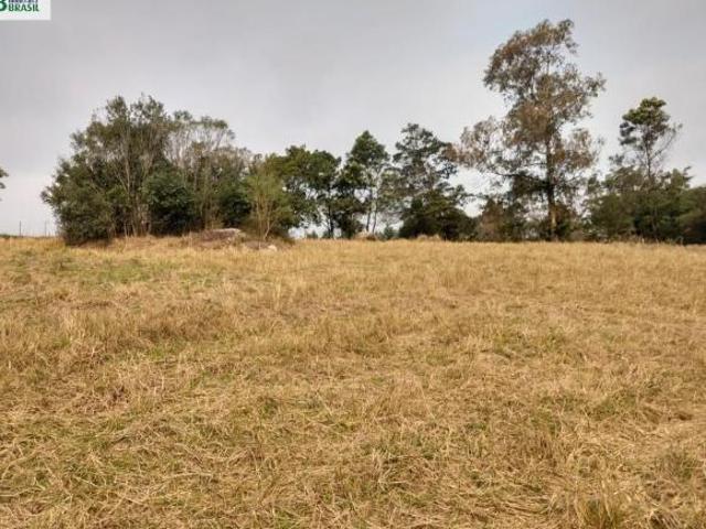 Sítio e chácara venda em Região Geográfica Imediata de Camaquã, Sentinela do Sul