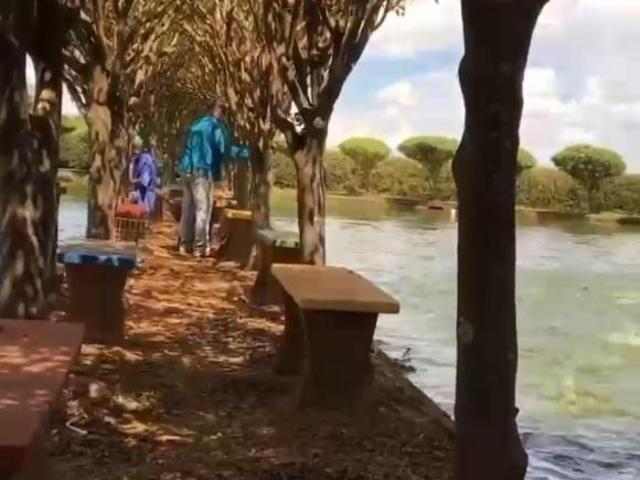 Sítio e chácara venda em Região Geográfica Imediata do Distrito Federal, Região Integrada de Desenvolvimento do Distrito Federal e Entorno