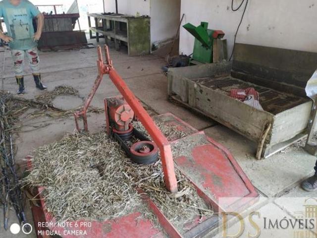 Sítio e chácara venda em Piedade