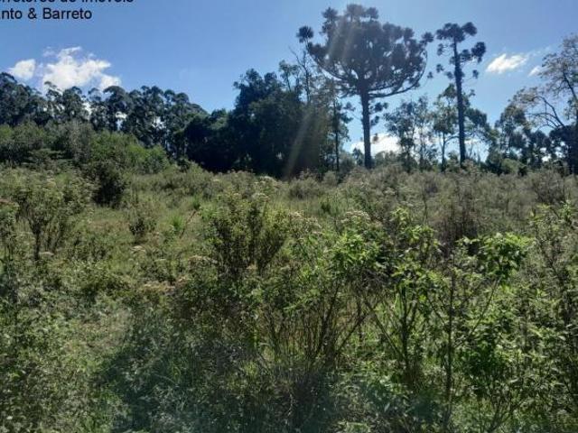 Sítio e chácara venda em Região Geográfica Imediata de Montenegro, Região Metropolitana de Porto Alegre