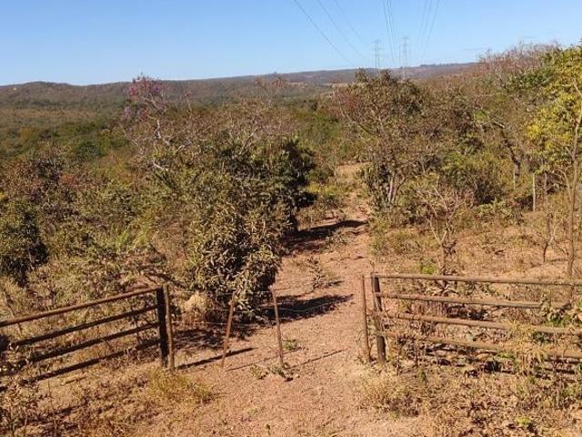 Sítio e chácara venda em Região Geográfica Imediata do Distrito Federal, Região Integrada de Desenvolvimento do Distrito Federal e Entorno