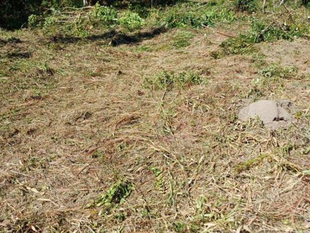 Sítio e chácara venda em Região Imediata de São Paulo, Região Metropolitana de São Paulo