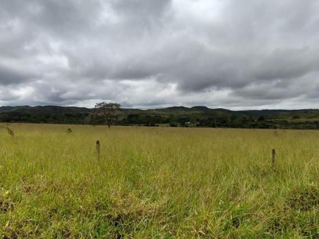 Sítio e chácara venda em Região Geográfica Imediata do Distrito Federal, Região Integrada de Desenvolvimento do Distrito Federal e Entorno
