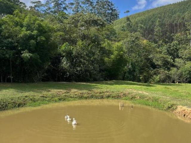 Sítio e chácara venda em Região Imediata de São José dos Campos, Região Metropolitana do Vale do Paraíba e Litoral Norte