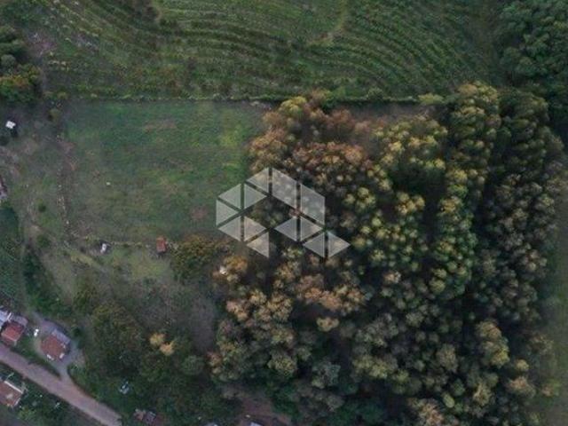 Sítio e chácara venda em Região Geográfica Imediata de Caxias do Sul, Antônio Prado