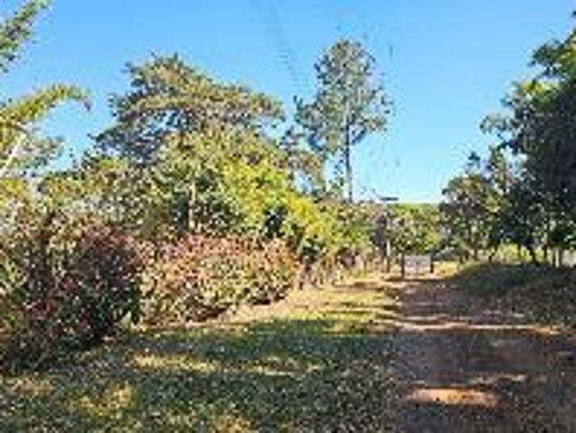 Sítio e chácara venda em Região Geográfica Imediata do Distrito Federal, Região Integrada de Desenvolvimento do Distrito Federal e Entorno