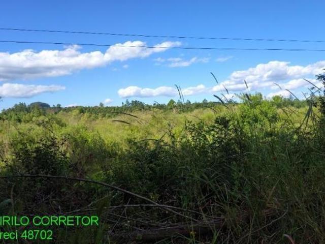 Sítio e chácara venda em Região Geográfica Imediata de Montenegro, Região Metropolitana de Porto Alegre