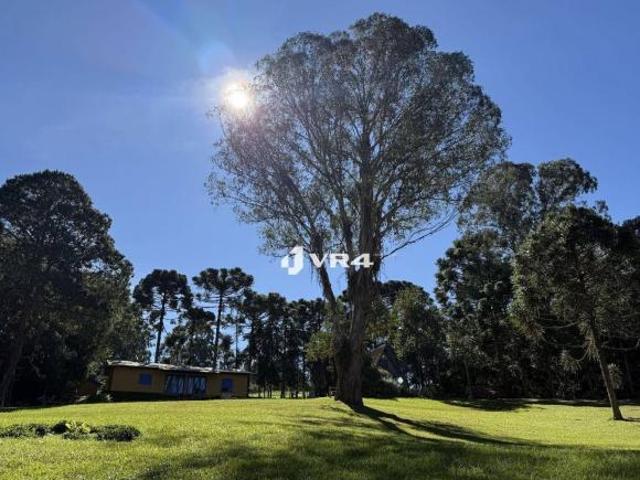 Sítio e chácara venda em Região Geográfica Imediata de Curitiba, Região Metropolitana de Curitiba