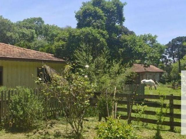 Sítio e chácara venda em Região Geográfica Imediata de União da Vitória, Antônio Olinto