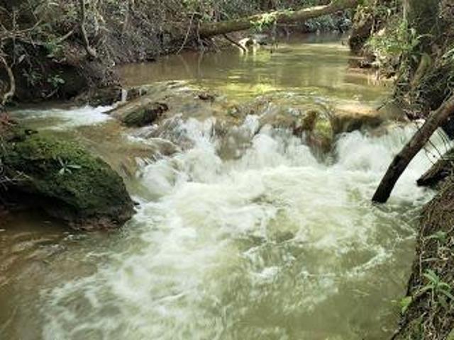 Sítio e chácara venda em Região Geográfica Imediata de Ceres - Rialma - Goianésia, Goianésia
