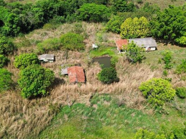 Sítio e chácara venda em Região Geográfica Imediata do Distrito Federal, Região Integrada de Desenvolvimento do Distrito Federal e Entorno