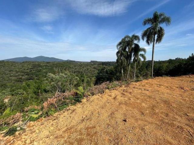 Sítio e chácara venda em Região Geográfica Imediata de Curitiba, Região Metropolitana de Curitiba