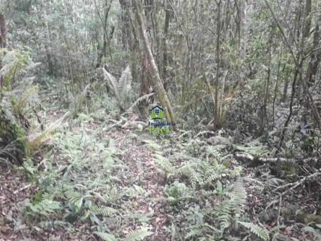 Sítio e chácara venda em Região Geográfica Imediata de Curitiba, Região Metropolitana de Curitiba