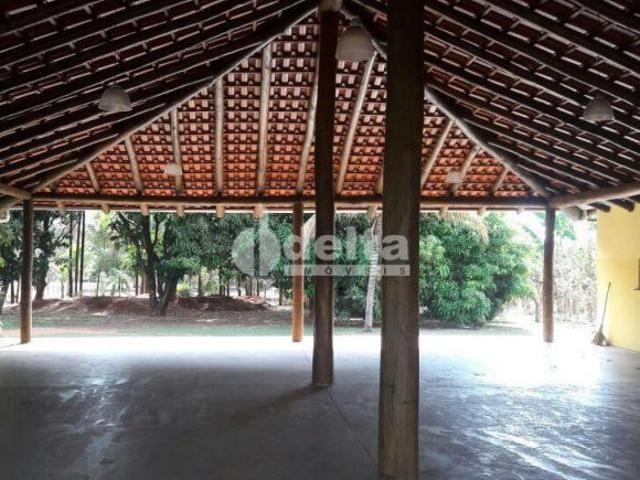 Sítio e chácara venda em Jockey Camping, Uberlândia