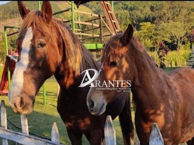 Sítio e chácara venda em Região Imediata de Bragança Paulista, Nazaré Paulista