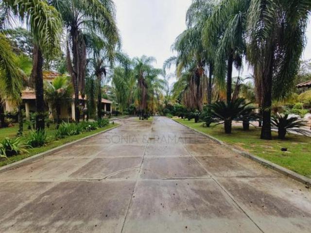 Sítio e chácara venda em Região Imediata de Ribeirão Preto, Região Metropolitana de Ribeirão Preto