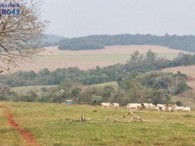 Sitio venda em Londrina, Higienópolis