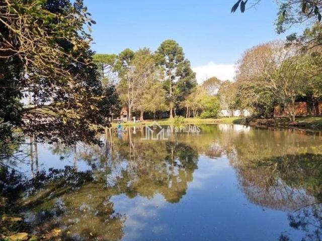 Sítio e chácara venda em Região Geográfica Imediata de Curitiba, Região Metropolitana de Curitiba