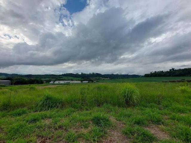 Sítio e chácara venda em Nova Cidade, Cascavel