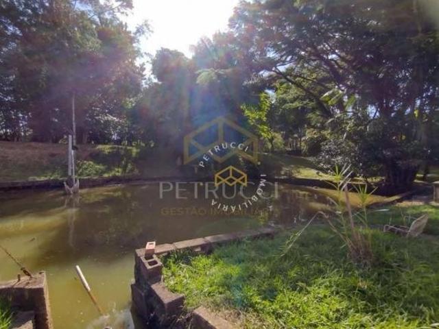 Sítio e chácara venda em Região Imediata de Campinas, Região Metropolitana de Campinas