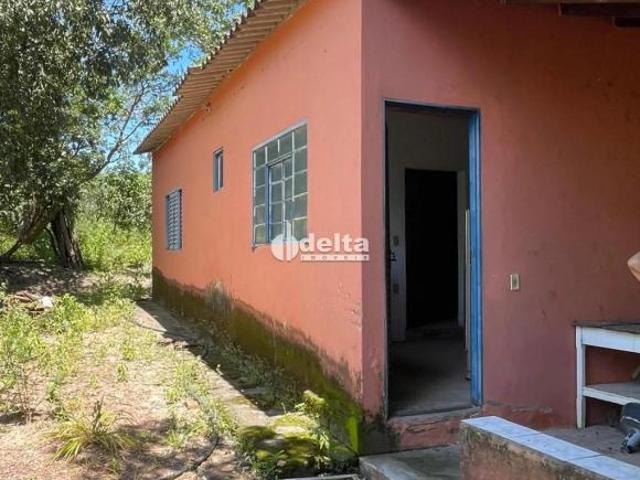 Sítio e chácara venda em Região Geográfica Imediata de Uberlândia, Oliveira Fortes