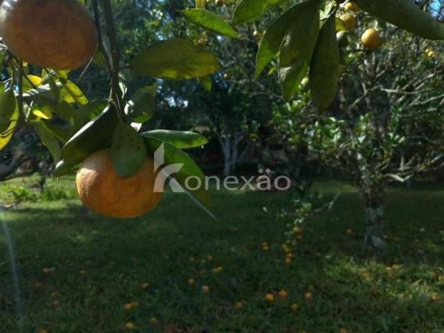 Sítio e chácara venda em Região Imediata de São Paulo, Região Metropolitana de São Paulo