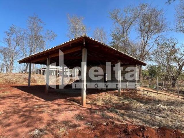 Sítio e chácara venda em Residencial Integração, Uberlândia