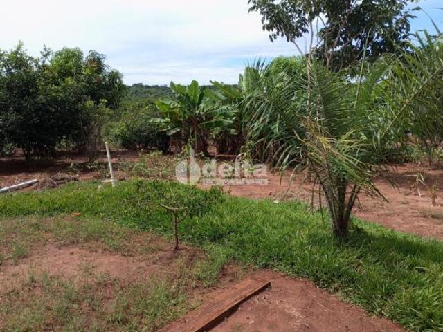 Sítio e chácara venda em Iturama, Região Geográfica Intermediária de Uberaba