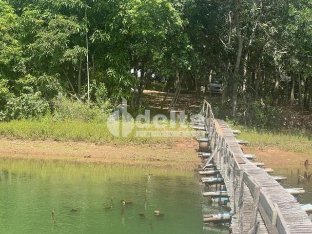 Sítio e chácara venda em Setor Norte, Uberlândia