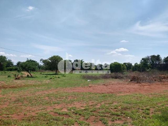 Sítio e chácara venda em Setor Norte, Uberlândia