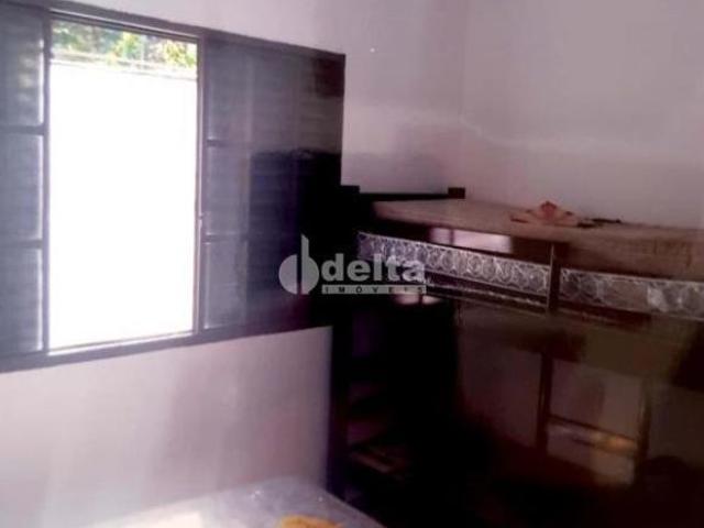 Sítio e chácara venda em Setor Norte, Uberlândia