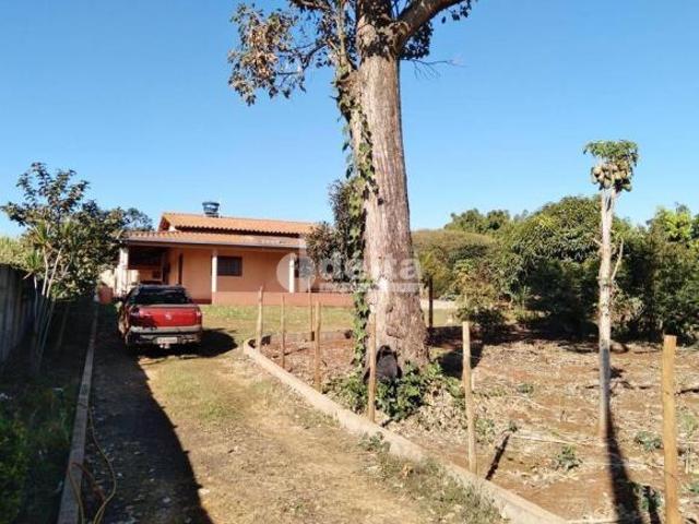 Sítio e chácara venda em Setor Norte, Uberlândia