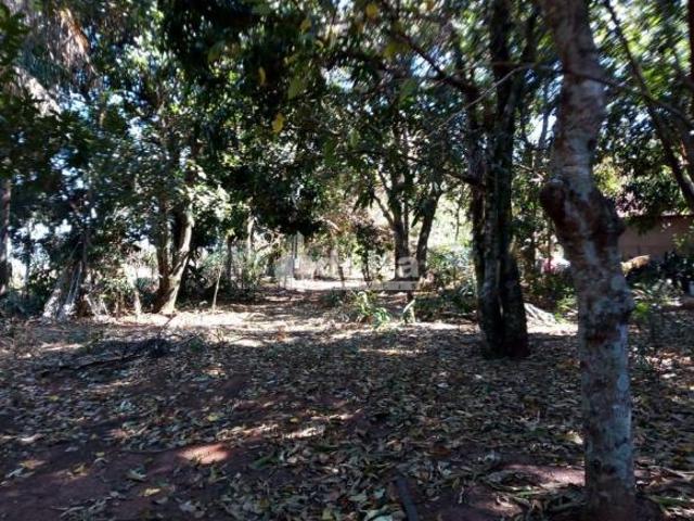 Sítio e chácara venda em Setor Norte, Uberlândia