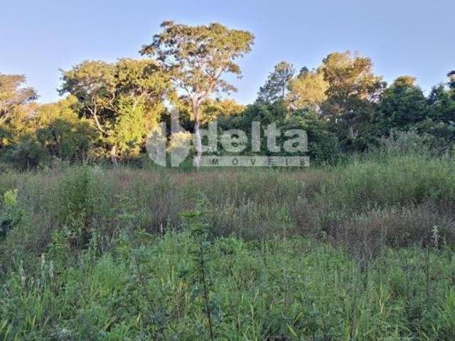 Sítio e chácara venda em Setor Norte, Uberlândia