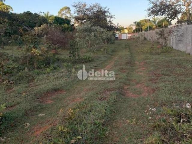 Sítio e chácara venda em Panorama, Uberlândia