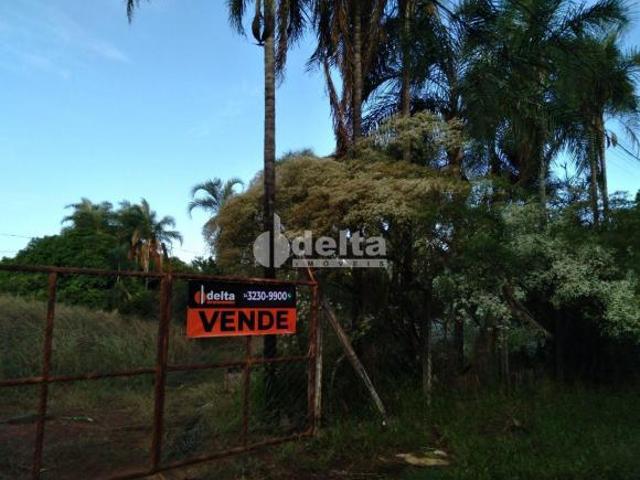 Sítio e chácara venda em Panorama, Uberlândia