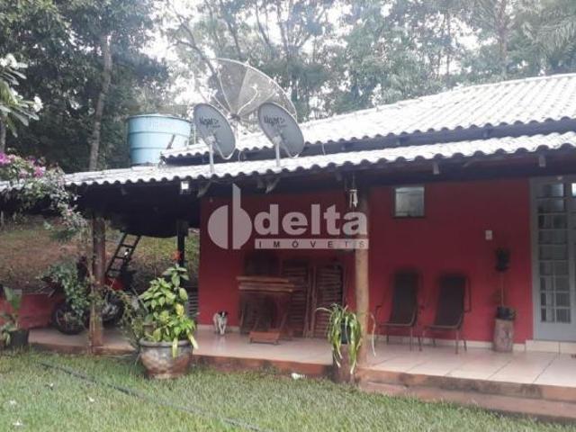 Sítio e chácara venda em Setor Norte, Uberlândia