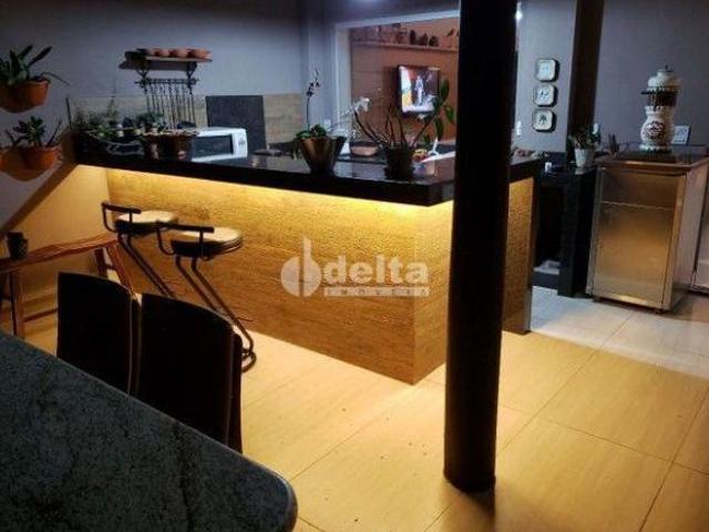 Sítio e chácara venda em Guarani, Uberlândia